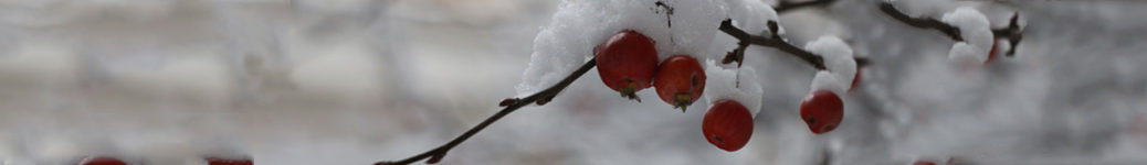 Hiver, bandeau