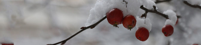 Hiver, bandeau